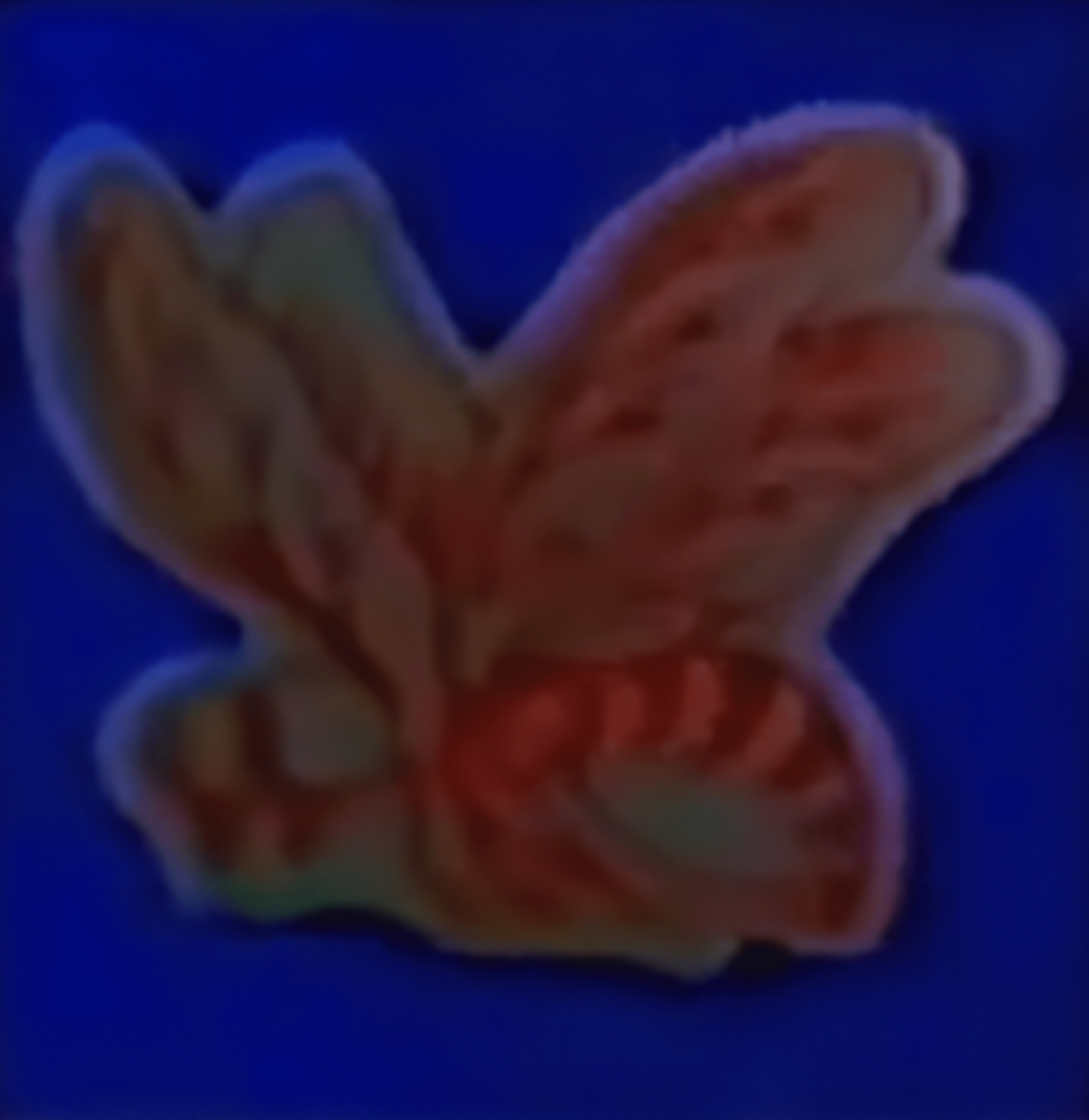 nippon paint cambodia ថ្មាំលាបផ្ទះ nippon paint